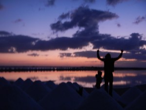 DSCN0242